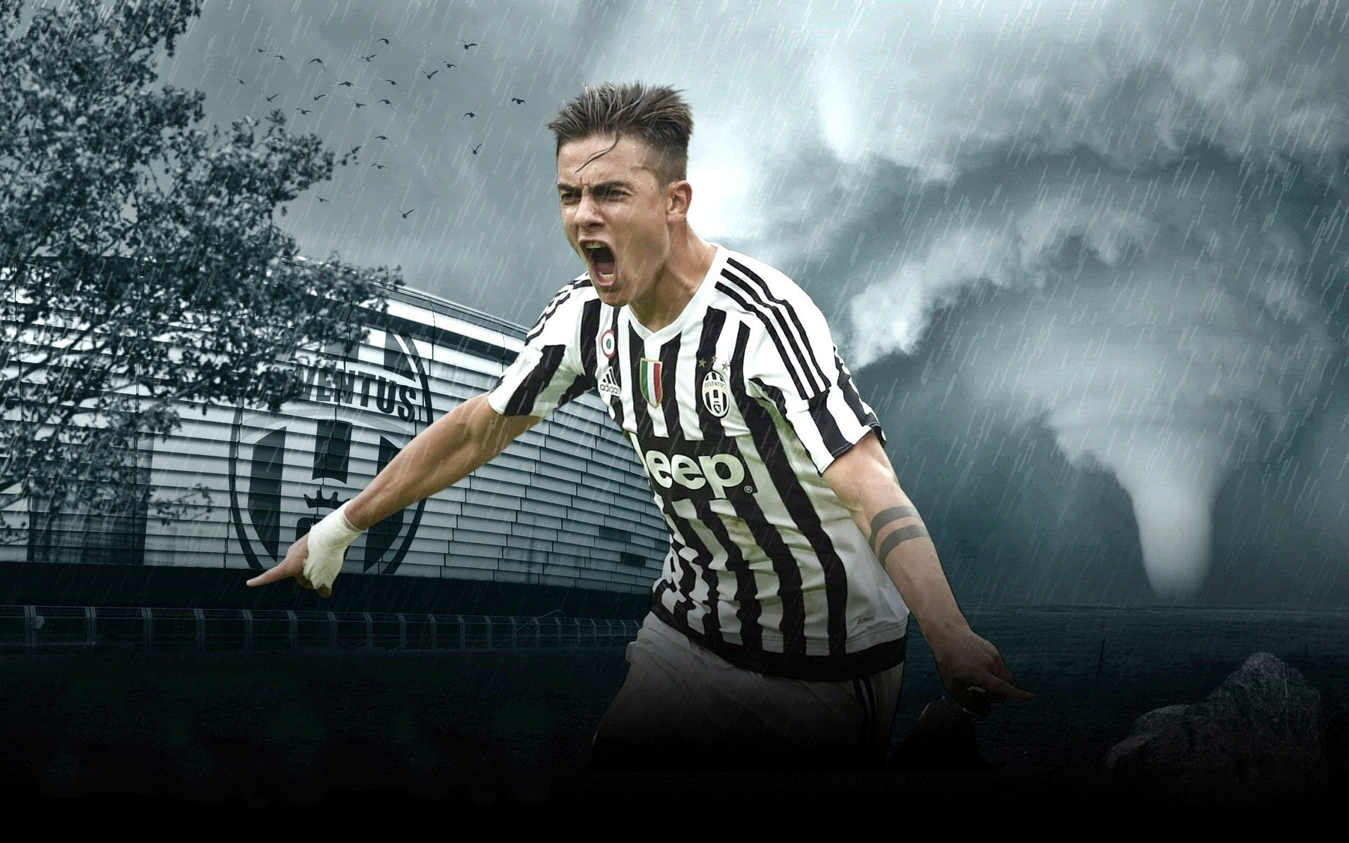 他证明了一件事：你们错了（证据在此：他推翻了你们的判断）