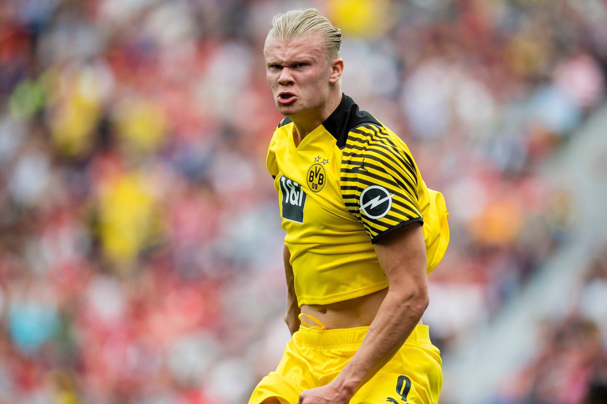 奥斯卡庆祝海港夺冠：我们是冠军！祝贺我的队友、朋友和球迷（奥斯卡为海港封王喝彩：我们是冠军！感谢我的队友、朋友与球迷）